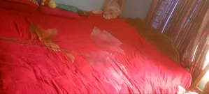 5/7 Feet Bed