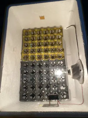 100-Egg Incubator