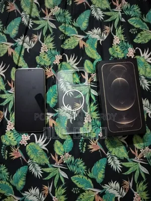 Apple iPhone 12 Pro Max 256 GB Rose Gold