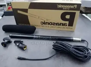 প্যানাসনিক মাইক্রোফোন