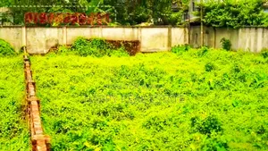 Plot land for sale in Savar, Dhaka