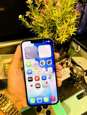 Apple iPhone 13 Pro 128 GB Pink