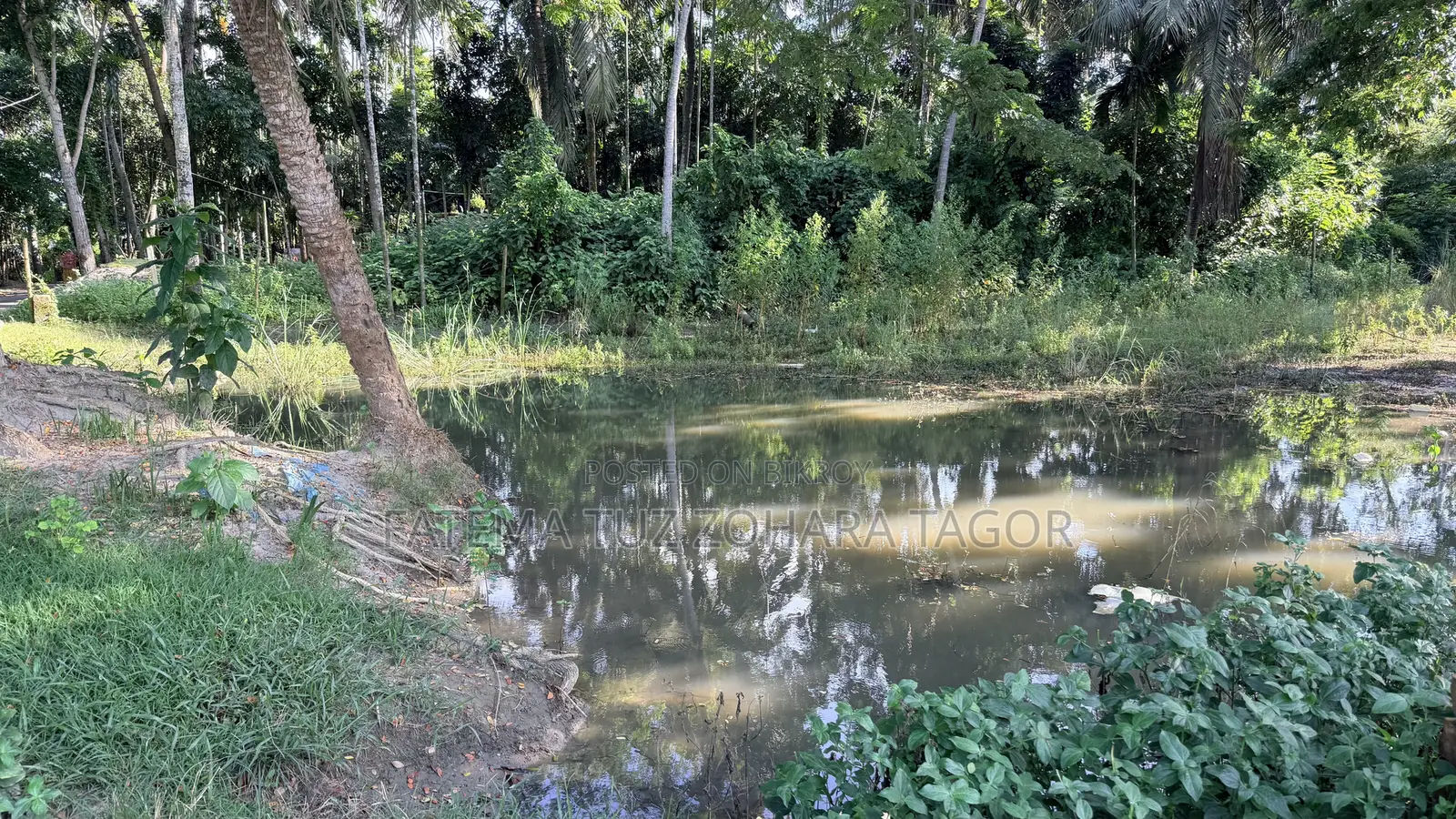 নিষ্কঠক জমি।।মোট ১৮ শতক।। কাগজ ফুল ওকে।।