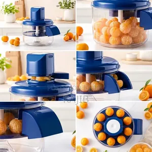 Portable Smart Electric Grape Peeler Machine
