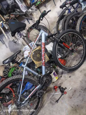 Borase Gear Cycle Alloy Body 26"