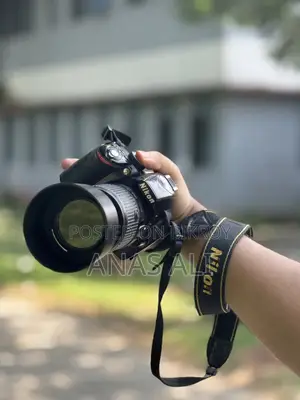নিকন ডি৩১০০