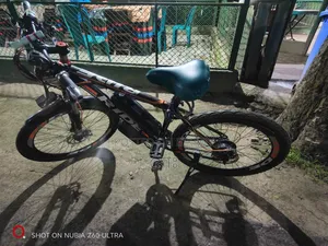 Electronic Bicycle