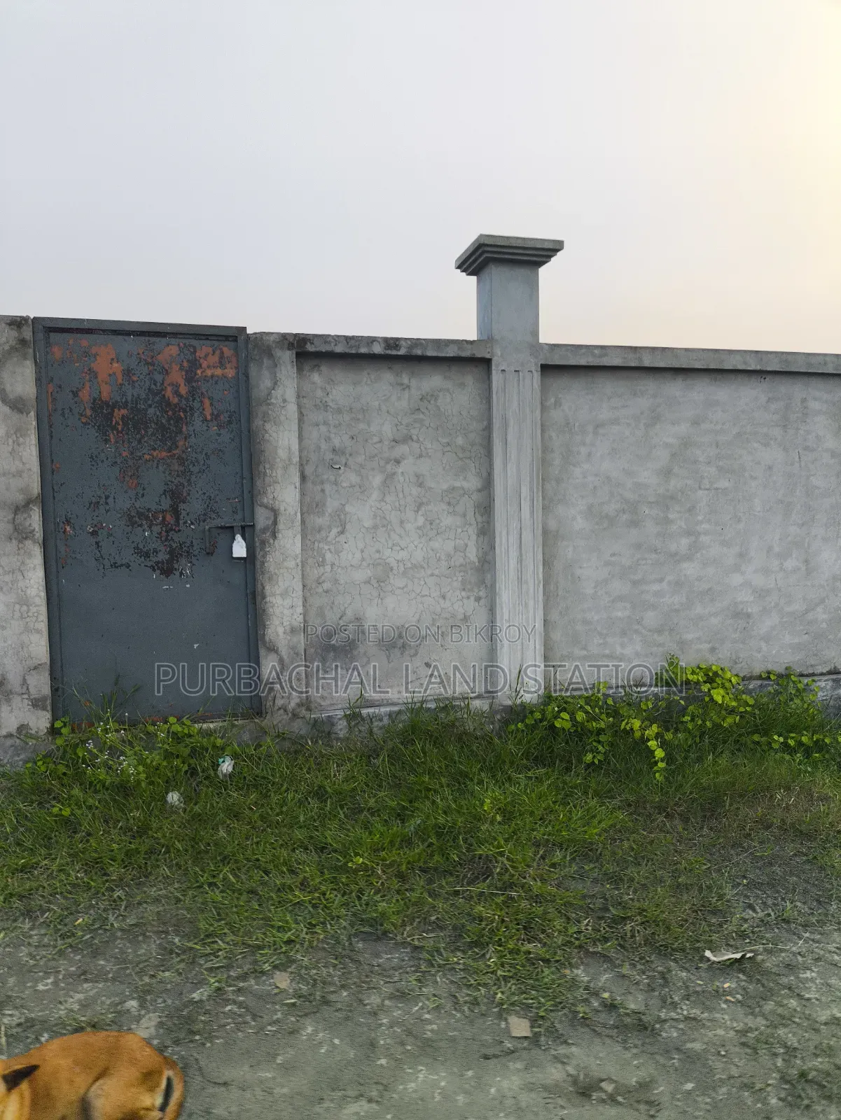 South Facing Near Forest 10 Katha Plot for Sale in Sector: 24, Purbachal