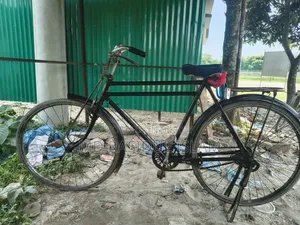 Bi Cycle. Bicycle