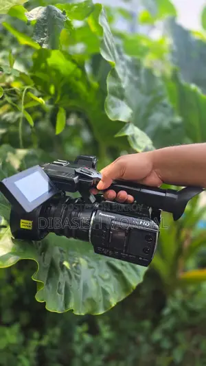 Panasonic HC-pv100 Professional Camcorder