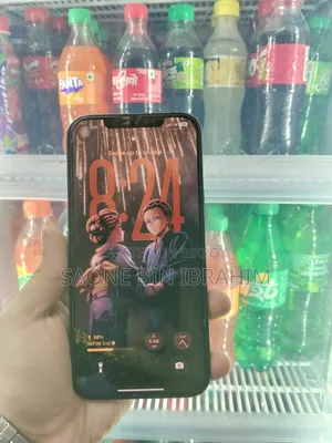 Apple iPhone 12 Pro Max ২৫৬ জিবি গ্রে