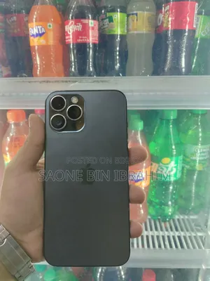 Apple iPhone 12 Pro Max ২৫৬ জিবি গ্রে