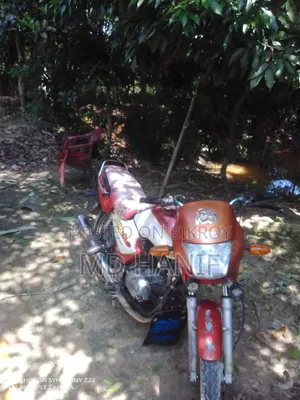 Bajaj Freedom 2009 White