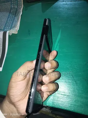 Google Pixel 6 Pro 128 GB Gray