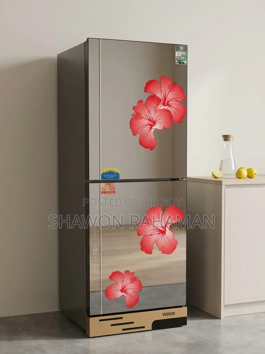 Vision Refrigerator (Model: Vis305l)