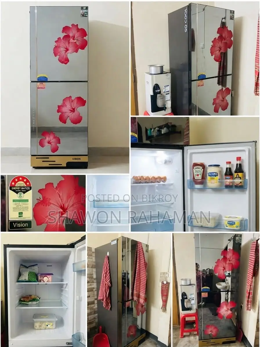 Vision Refrigerator (Model: Vis305l)