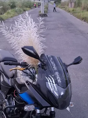 Bajaj Pulsar 150 2020 Black