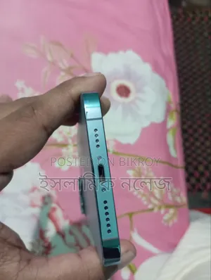 অ্যাপল আইফোন ১৩ প্রো ম্যাক্স ২৫৬ জিবি ব্লু
