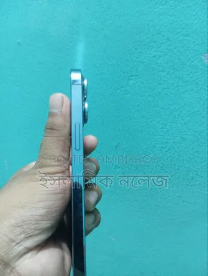 Apple iPhone 13 Pro Max 256 GB Blue