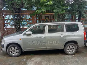 Toyota Probox 2005 Silver