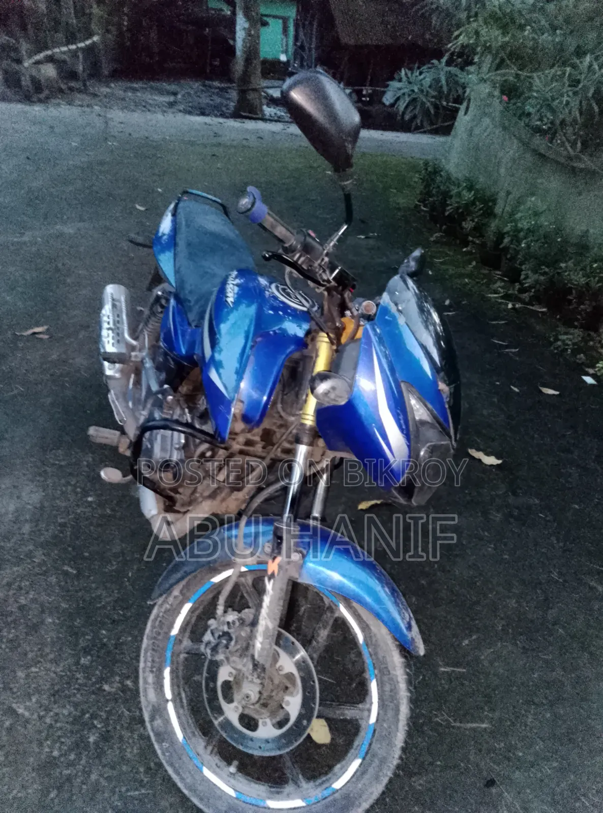 Bajaj Pulsar 150 2011 Blue