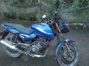 Bajaj Pulsar 150 2011 Blue