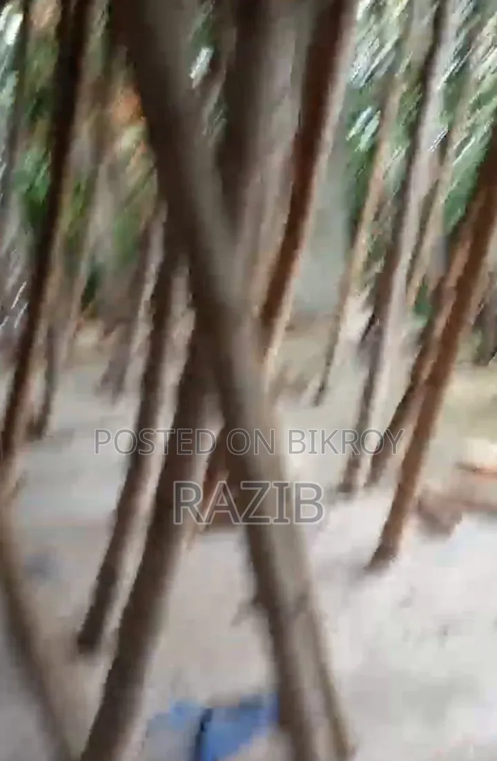 পদ্মা আবাসিক-এ ৩ বেডরুমের অ্যাপার্টমেন্ট বিক্রয়