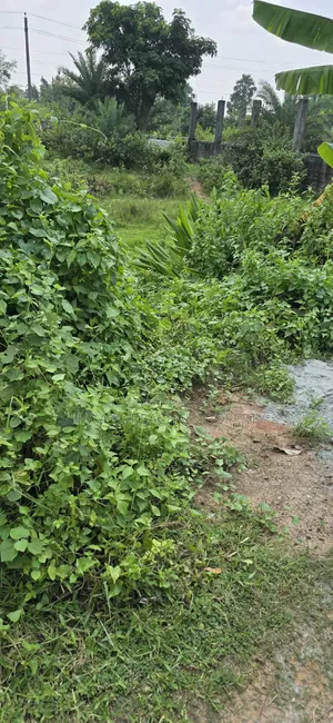 উত্তরা রাজউক ৩ কাঠা বরাদ্দকৃত প্লট বিক্রি