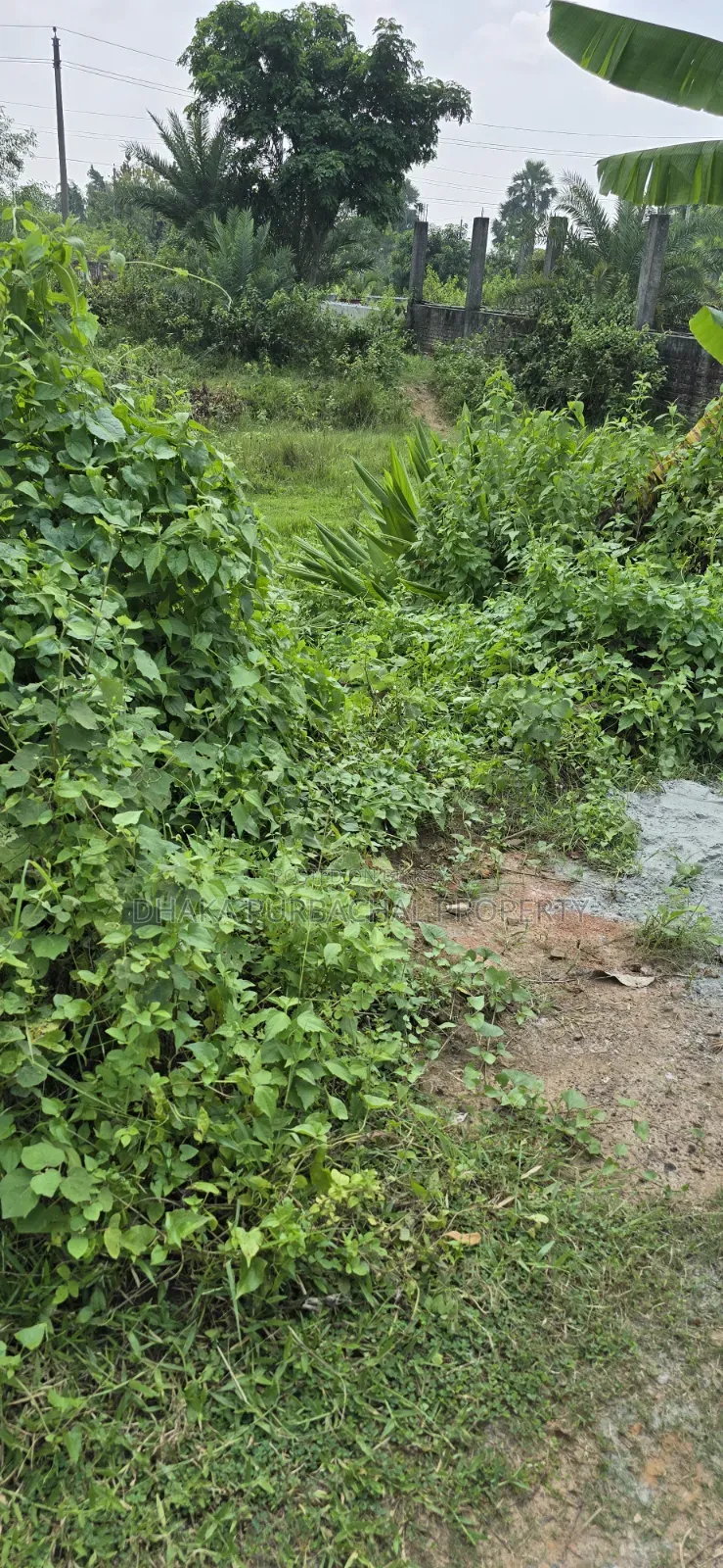 উত্তরা রাজউক ৩ কাঠা বরাদ্দকৃত প্লট বিক্রি