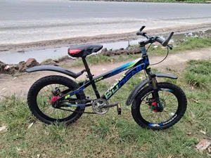 Children's 20 Size Bicycle