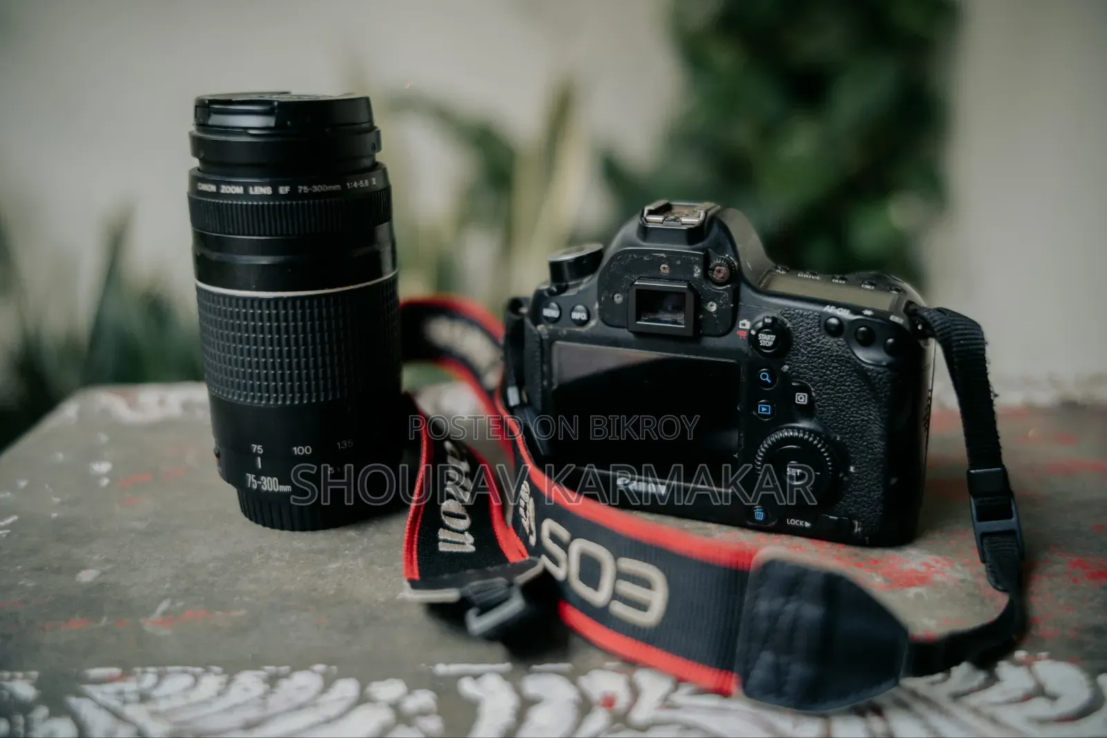Eos 6D With 75-300mm