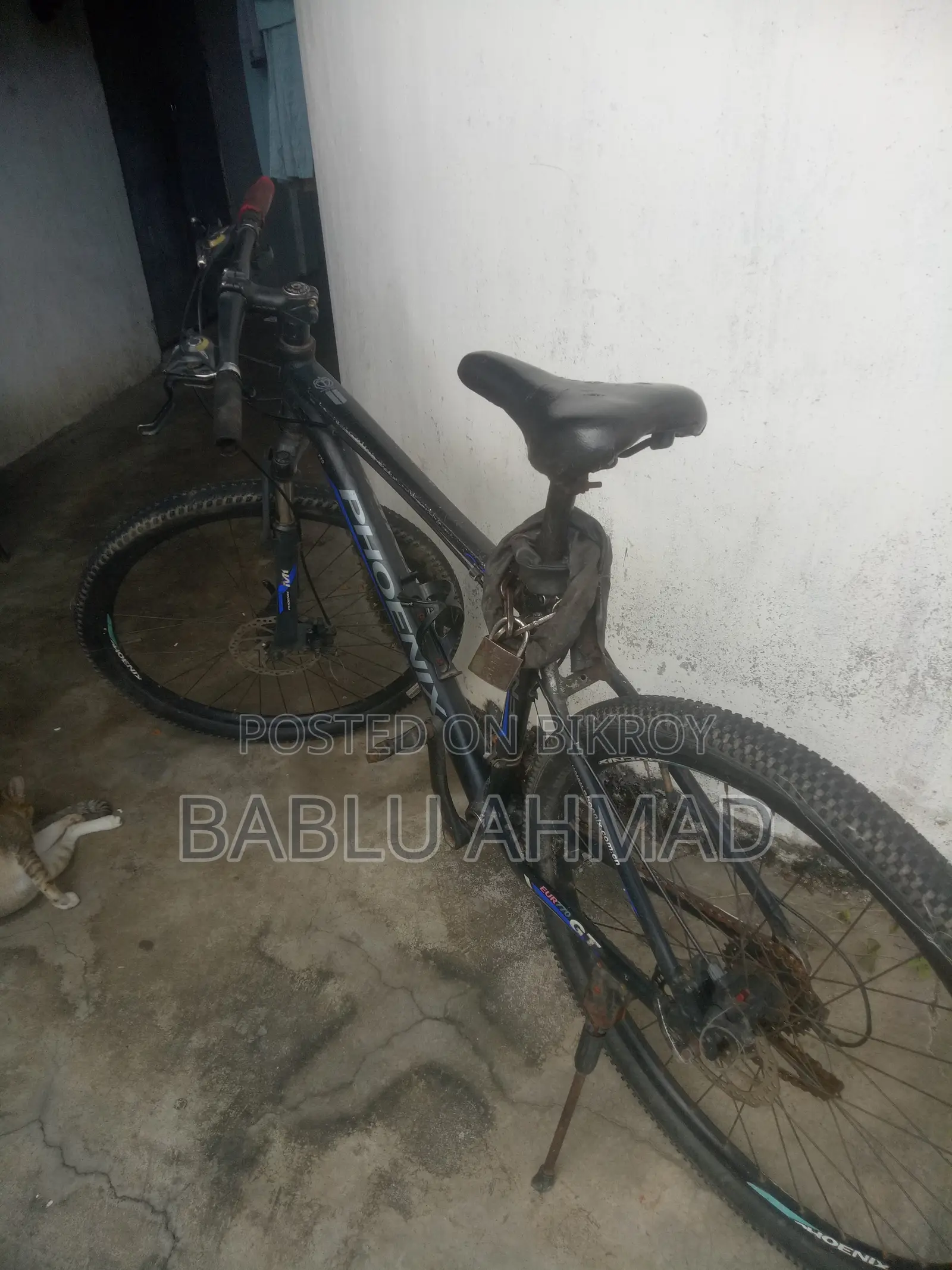 Cycle for Sale