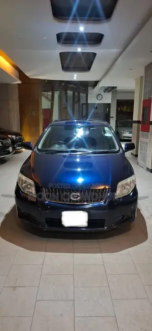 Toyota Axio 2009 Blue