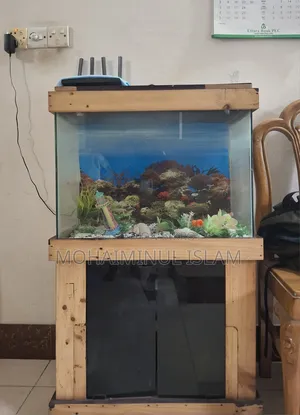 Aquarium (24x12x18) inches