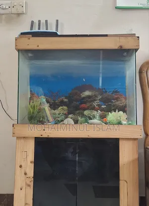 Aquarium (24x12x18) inches