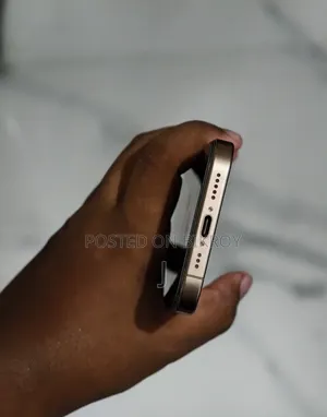 অ্যাপল আইফোন ১৬ প্রো ২৫৬ জিবি রোজ গোল্ড