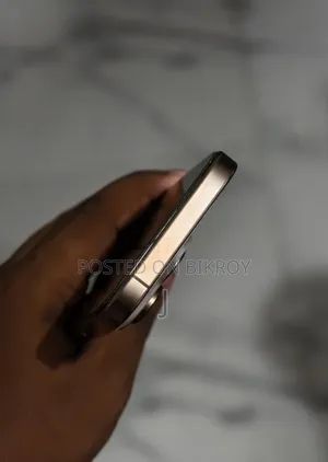 অ্যাপল আইফোন ১৬ প্রো ২৫৬ জিবি রোজ গোল্ড