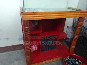 Aquarium Fresh Condition