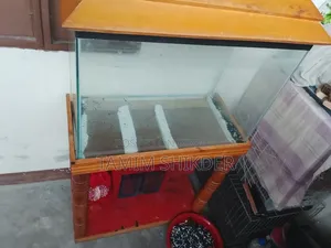 Aquarium Fresh Condition