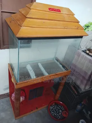 Aquarium Fresh Condition