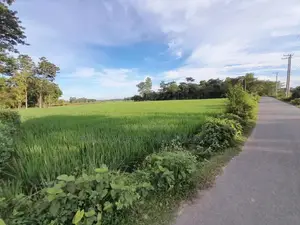 45 Decimal Land for Sale
