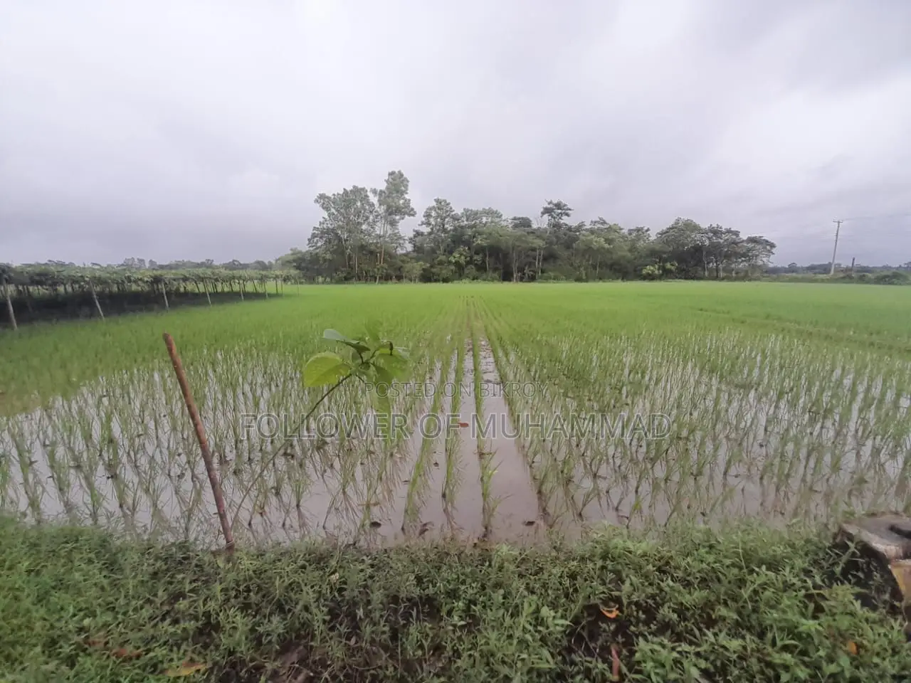 45 Decimal Land for Sale