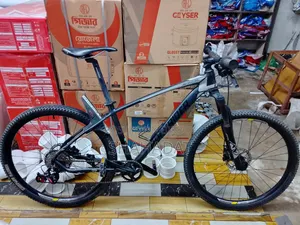 Bicycle for sale