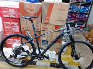 Bicycle for sale
