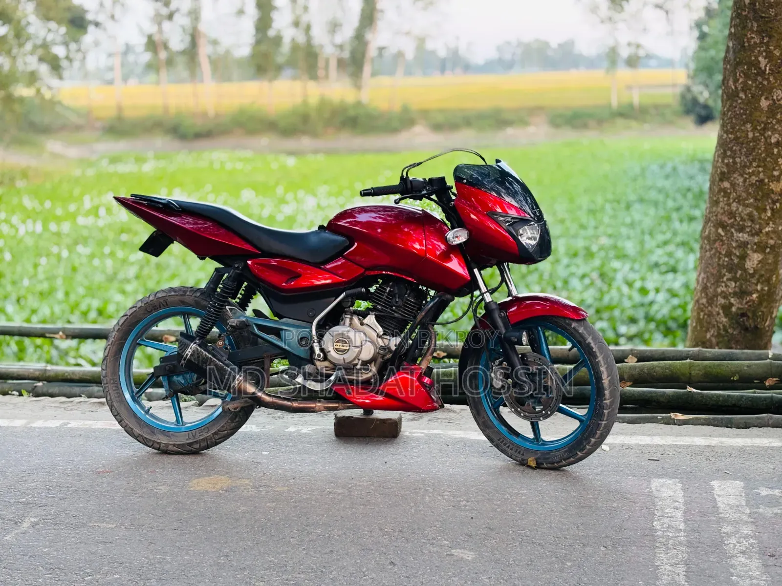 বাজাজ পালসার ১৫০ ২০১২ লাল