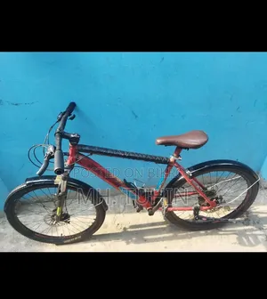 I used this cycle with great care. Selling because I need money.