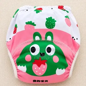 Newborn to 36 Month Age Baby Reusable Training Pant