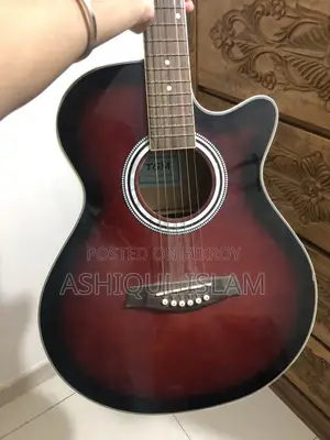 TGM Used Guitar