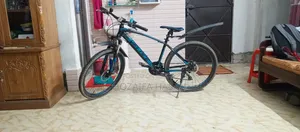 Selling my beloved cycle as I urgently need money