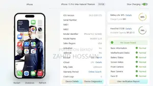 Apple iPhone 15 Pro Max 512 GB Gray